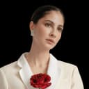 authour profile picture